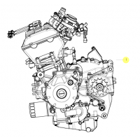 Todos los recambios originales de Benelli para el motor de la BN302 EU3 2015.