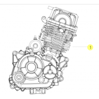 Todos los recambios originales de Benelli para el motor de la BN125 2018.