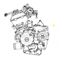 Todos los recambios originales de Benelli para el motor de la BN302 EU4 2017.