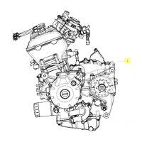 Todos los recambios originales de Benelli para el motor de la Leoncino 500 EU4.