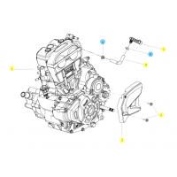 Todos los recambios originales de Benelli para el motor de la Leoncino 250 2019.