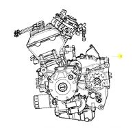 Todos los recambios originales de Benelli para el motor de la TRK502x 2020.